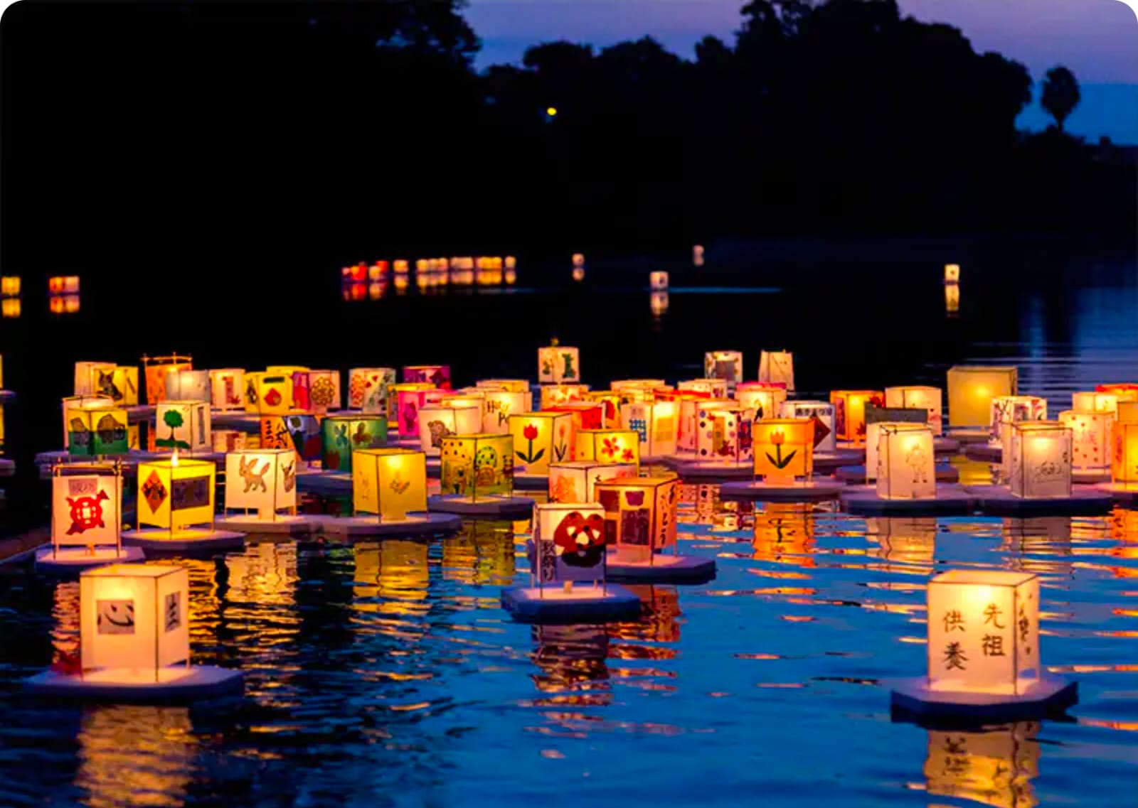 WhatsApp Image 2026-02-26 at 23.07.00.jpeg